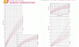 Wykresy centylowe dla dziewczynek pokazują normy wzrostu i wagi. Dwuletnie dziecko powinno ważyć ok. 12 kg.