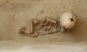Szczątki niemowlęcia w ziemi. Trudno określić, ile kości ma dziecko, ale to maleńkie szkielety.