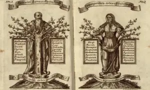Drzewo genealogiczne z wizerunkami mężczyzny i kobiety, z listami pokrewieństwa. Czy siostrzeniec i wujek to to samo? Nie, to różne relacje rodzinne.