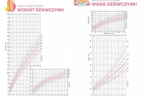Wykresy centylowe dla dziewczynek pokazują normy wzrostu i wagi. Dwuletnie dziecko powinno ważyć ok. 12 kg.