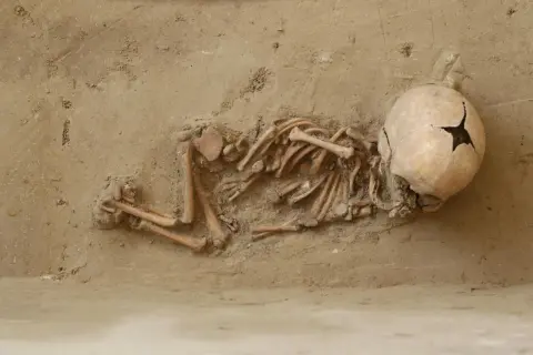 Szczątki niemowlęcia w ziemi. Trudno określić, ile kości ma dziecko, ale to maleńkie szkielety.