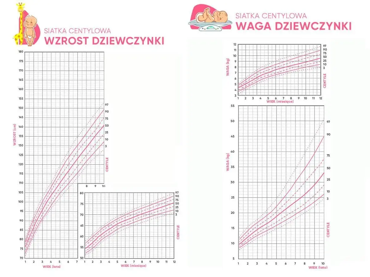 Wykresy centylowe dla dziewczynek pokazują normy wzrostu i wagi. Dwuletnie dziecko powinno ważyć ok. 12 kg.