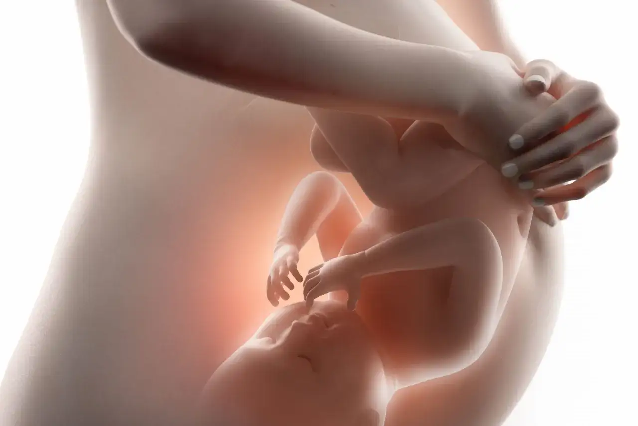 Zdjęcie Jak wygląda dziecko w brzuchu? Zobacz niesamowite zmiany rozwoju