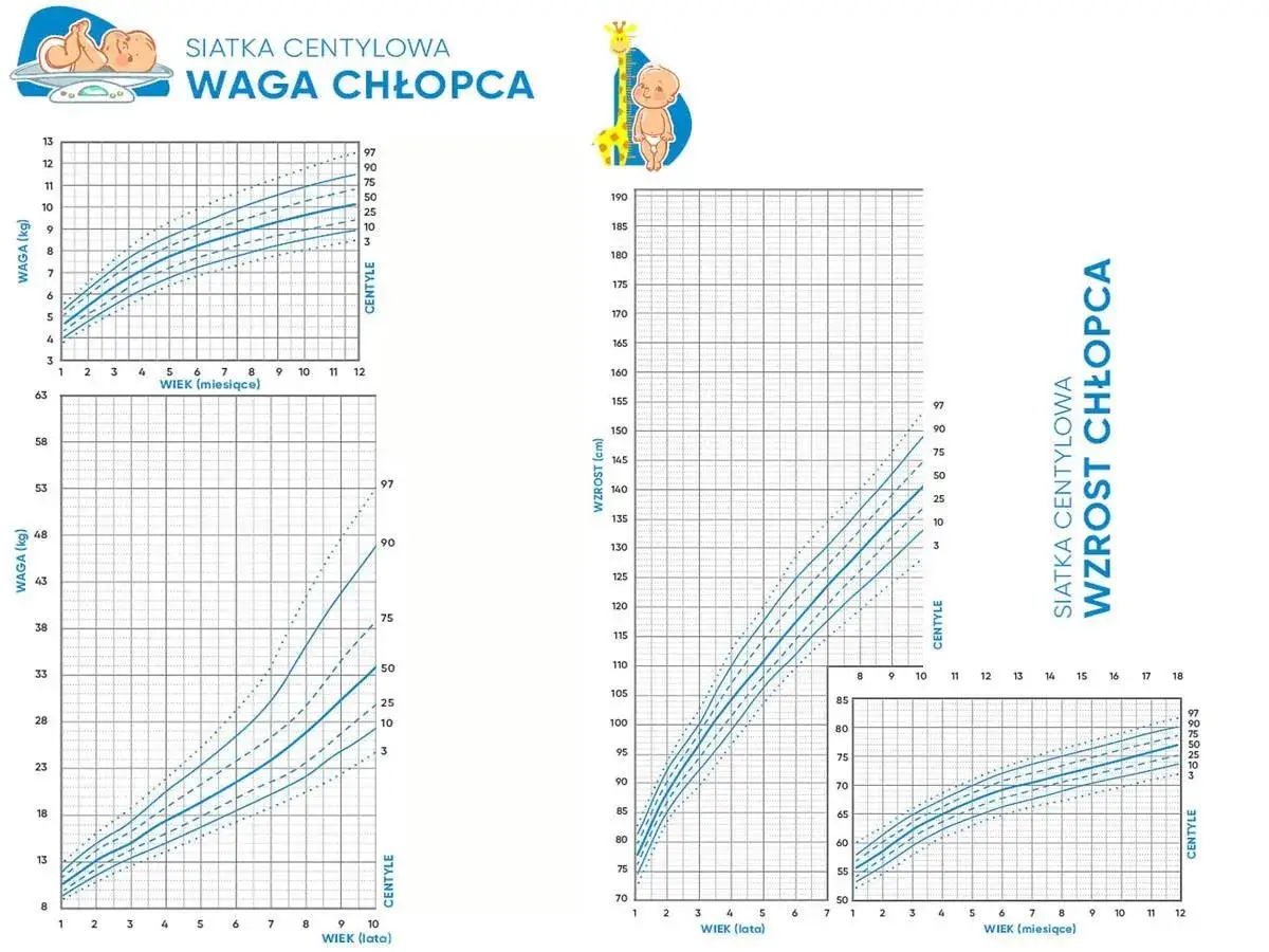 Wykresy siatek centylowych dla chłopców: waga w kg w zależności od wieku (miesiące i lata) oraz wzrost w cm. Pomaga określić, ile powinno ważyć siedmioletnie dziecko.