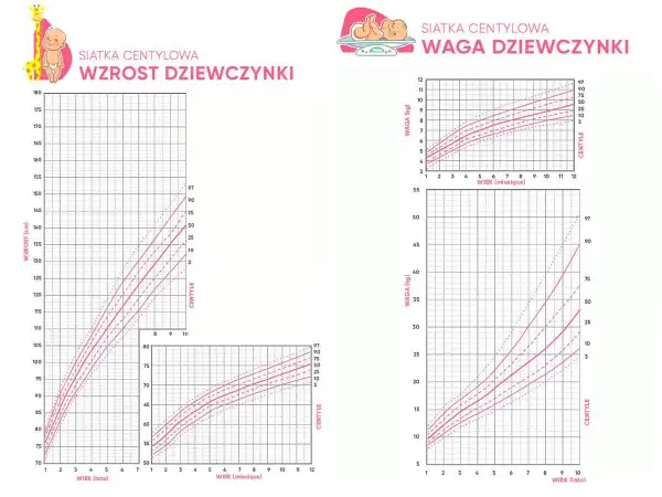Wykresy centylowe dla dziewczynek pokazują normy wzrostu i wagi. Dwuletnie dziecko powinno ważyć ok. 12 kg.